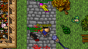 Druppii on screen