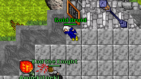 Gold druid on screen