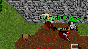 Seth Wizard on screen