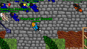 Master of Goods on screen
