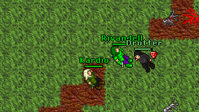 Kardio on screen