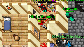 Ninja'Aragon on screen