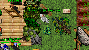 Perro Baltierra on screen