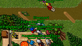 Elvenari on screen