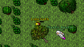 Lido Nath on screen