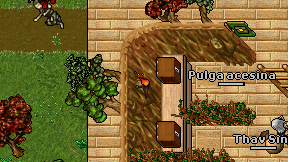 Pulga acesina on screen