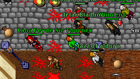 Kana Feyde on screen