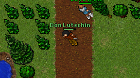 Don Lutschin on screen