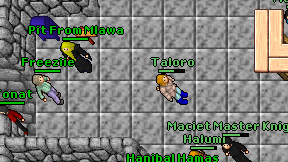 Taloro on screen