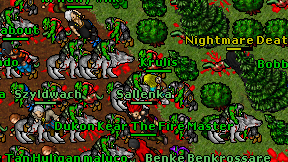 Krulis on screen