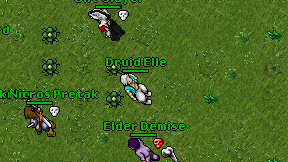 Druid Elle on screen