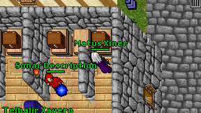 Matus Xiner on screen