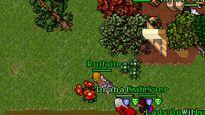 Rullain on screen
