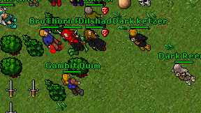 Dark Reena on screen