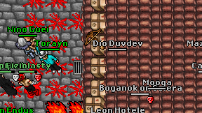 Dio Duvdev on screen