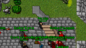 Mczip on screen