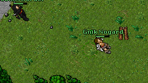 Gnik Nogard on screen