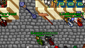 Gaasmoos on screen