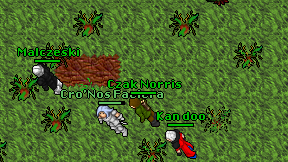 Czak Norris on screen