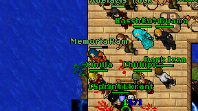 Memoria Ram on screen