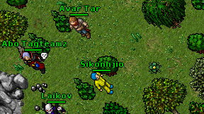 Sikonhjio on screen