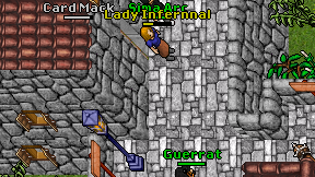 Lady Infernnal on screen