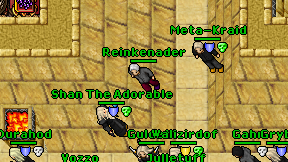 Reinkenader on screen