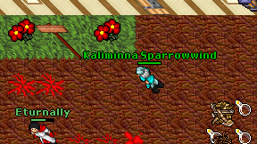 Kaliminna Sparrowwind on screen