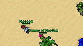 Samurai Shadon on screen