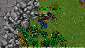 Tiu Juka on screen