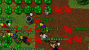 Truepac on screen