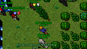 Areligoo on screen