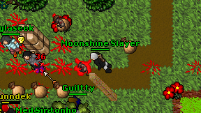 Moonshine Slayer on screen
