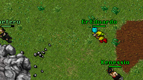 Kaineferu on screen