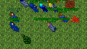 Aragon-the-wise on screen