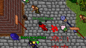 Druid Ihow on screen