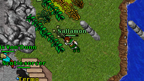 Sallamon on screen