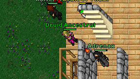 Druid Ancestral on screen