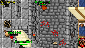 Kadawu on screen