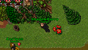 Shadow Barry on screen