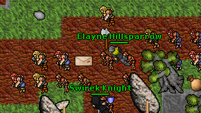 Elayne Hillsparrow on screen