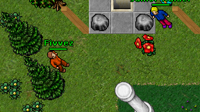 Fivvez on screen