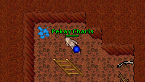 Pekay Charis on screen