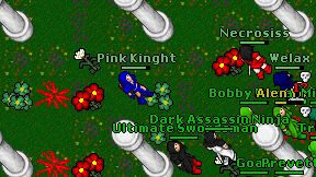 Pink Kinght on screen