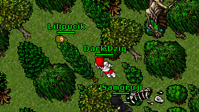 Lilipucik on screen
