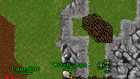 Witch-Aga on screen