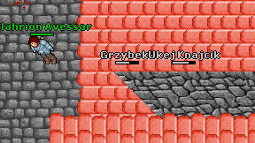 Grzybekk on screen
