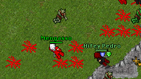 Mengasso on screen