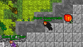 Dark Samoyeda on screen
