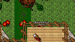 Arovena on screen